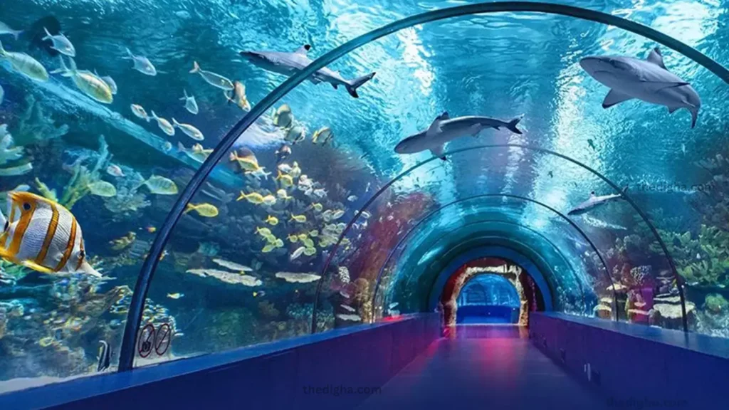 Digha Marine Aquarium